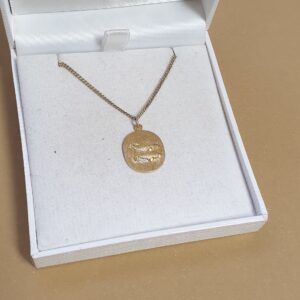 Anhänger Charm Silber 925 vergoldet Fische Sternzeichen Horoskop Unikat selten Vintage SKA1287