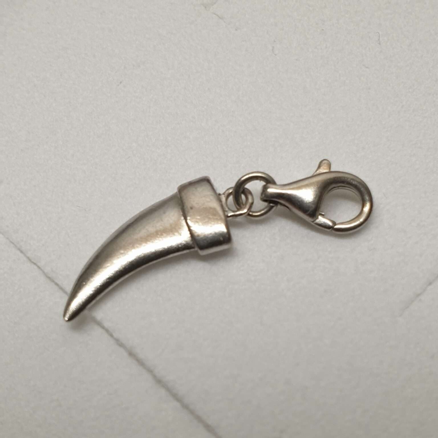 Eleganter Korallen-Zahn Charm Aus Sterling Silber Für Bettelarmbänder